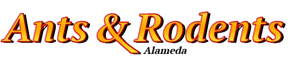 Alameda Ant Exterminator & Rodent Control Company Logo